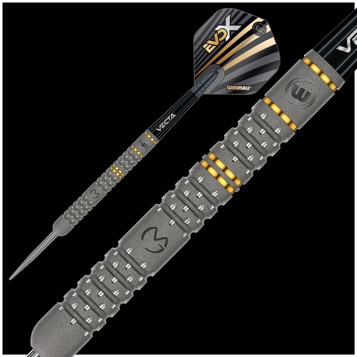 MvG EvoX GW Darts