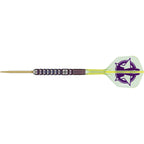 Target LUKE LITTLER 90% SP WORLD CHAMPION 2025 EDITION GW Darts