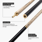 Baize Master Blackline Classic 2-piece snooker cue Cue + Case
