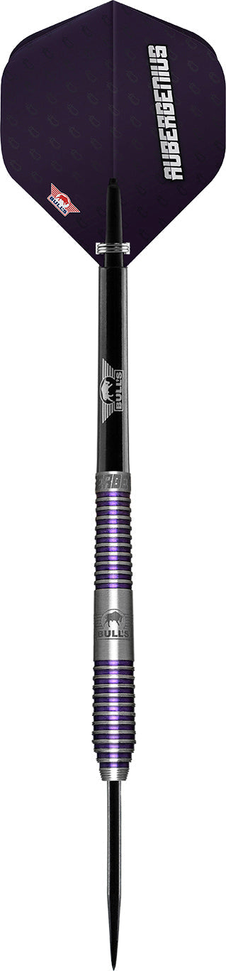 Bull's Dirk Van Duijvenbode Aubergenius 80% GW Darts