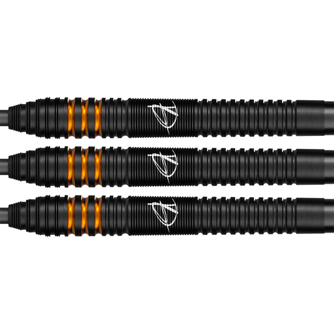 Bull's Dirk van Duijvenbode E2 90% GW Darts
