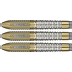 Target Raymond v Barneveld Chrono 95% SP GW Darts