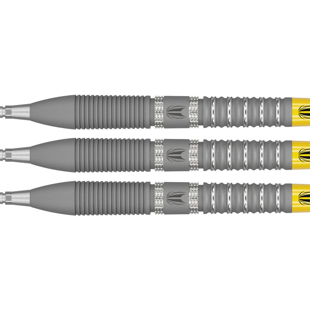 Target Gabriel Clemens G2 90% SP Darts GW Darts