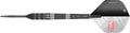 Target Raymond van Barneveld Echo 95% Swiss GW Darts