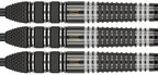 Target Raymond van Barneveld Echo 95% Swiss GW Darts
