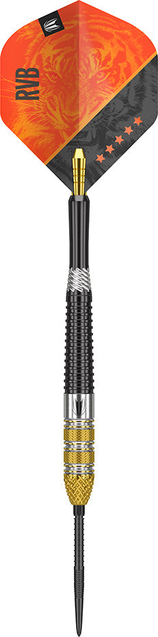 Target Raymond van Barneveld G4 RVB 95% Swiss GW Darts