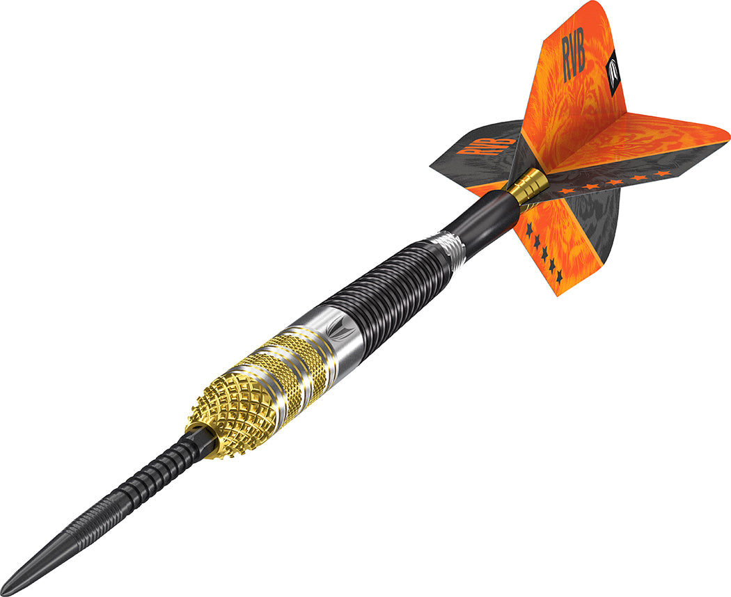 Target Raymond van Barneveld G4 RVB 95% Swiss GW Darts