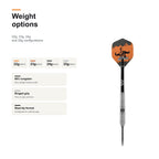 Bull's Dirk van Duijvenbode 90% darts weight options