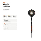 Bull's Martijn Kleermaker 90% darts weight options