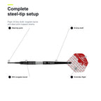 BULL'S Martin Schindler Generation 3 90% complete steel-tip setup