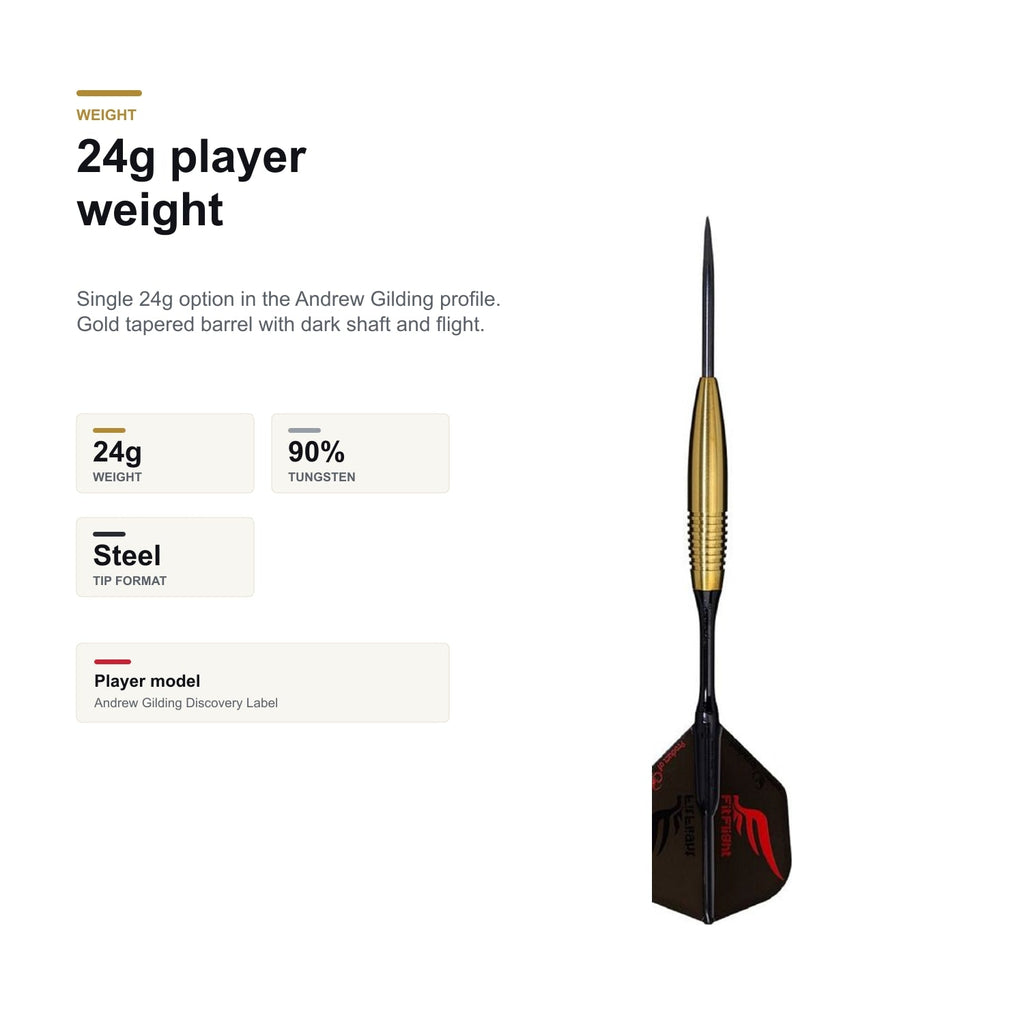 Cosmo Darts Andrew Gilding Discovery Label 90% 24g single weight