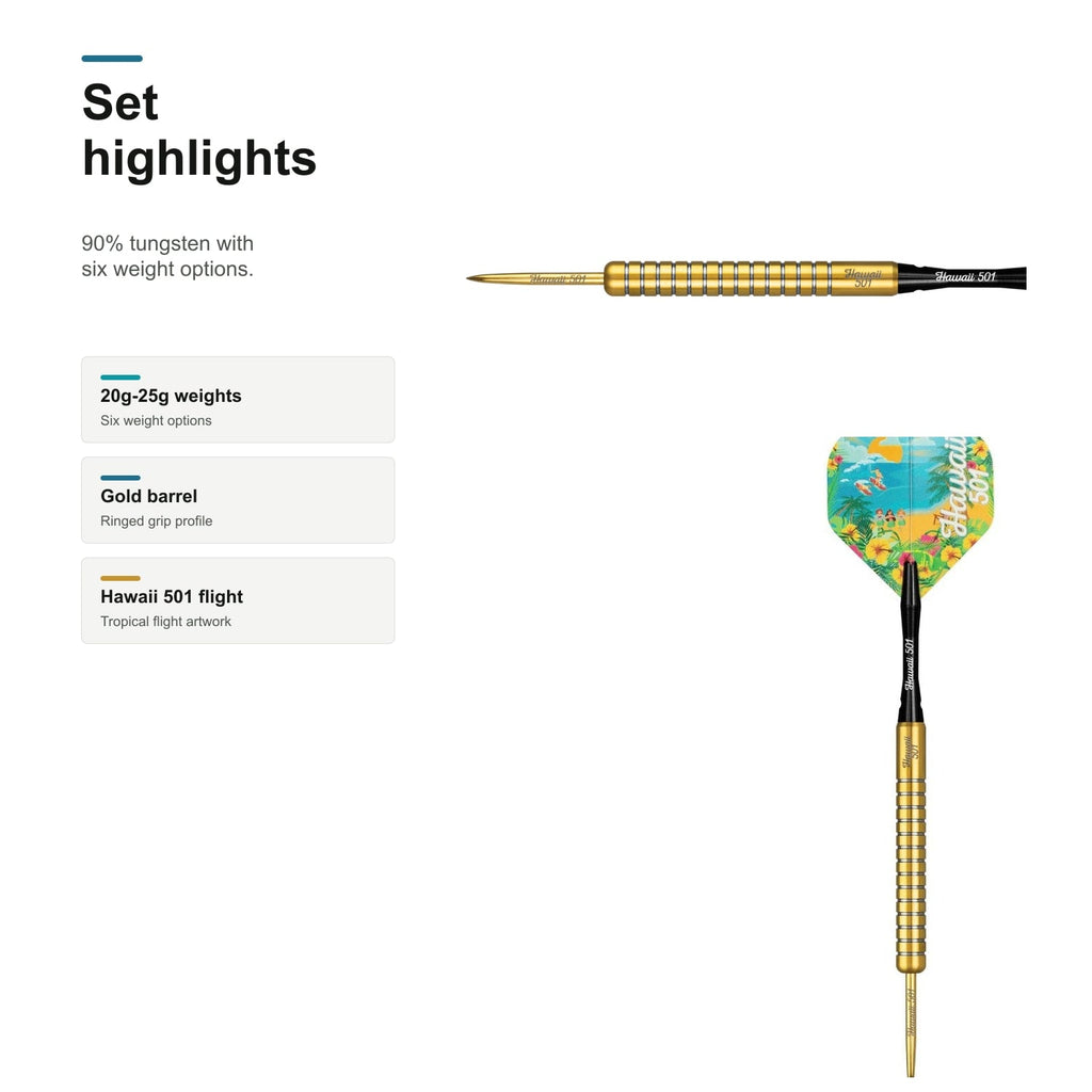 Legend Wayne Mardle 90% darts set highlights