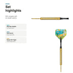 Legend Wayne Mardle 90% darts set highlights