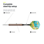 Legend Wayne Mardle Hawaii 501 Silica 90% complete steel-tip setup image