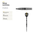 Shot Devon Peterson Wisdom 80% Steeltip darts setup summary