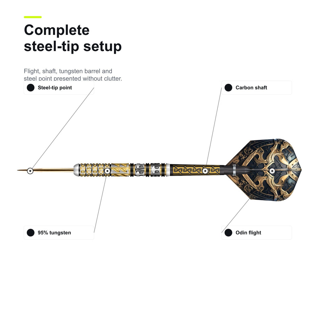 Shot Viking Odin 95% complete steel-tip setup image