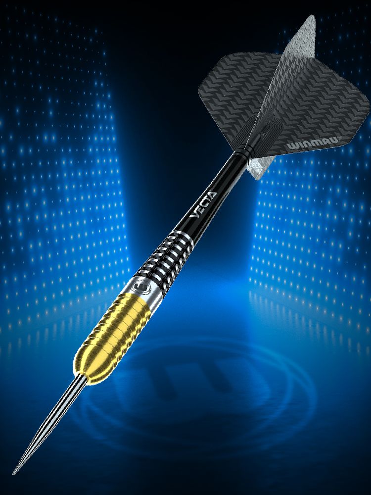 Winmau Steve Beaton S.E. 90% Darts GW Darts