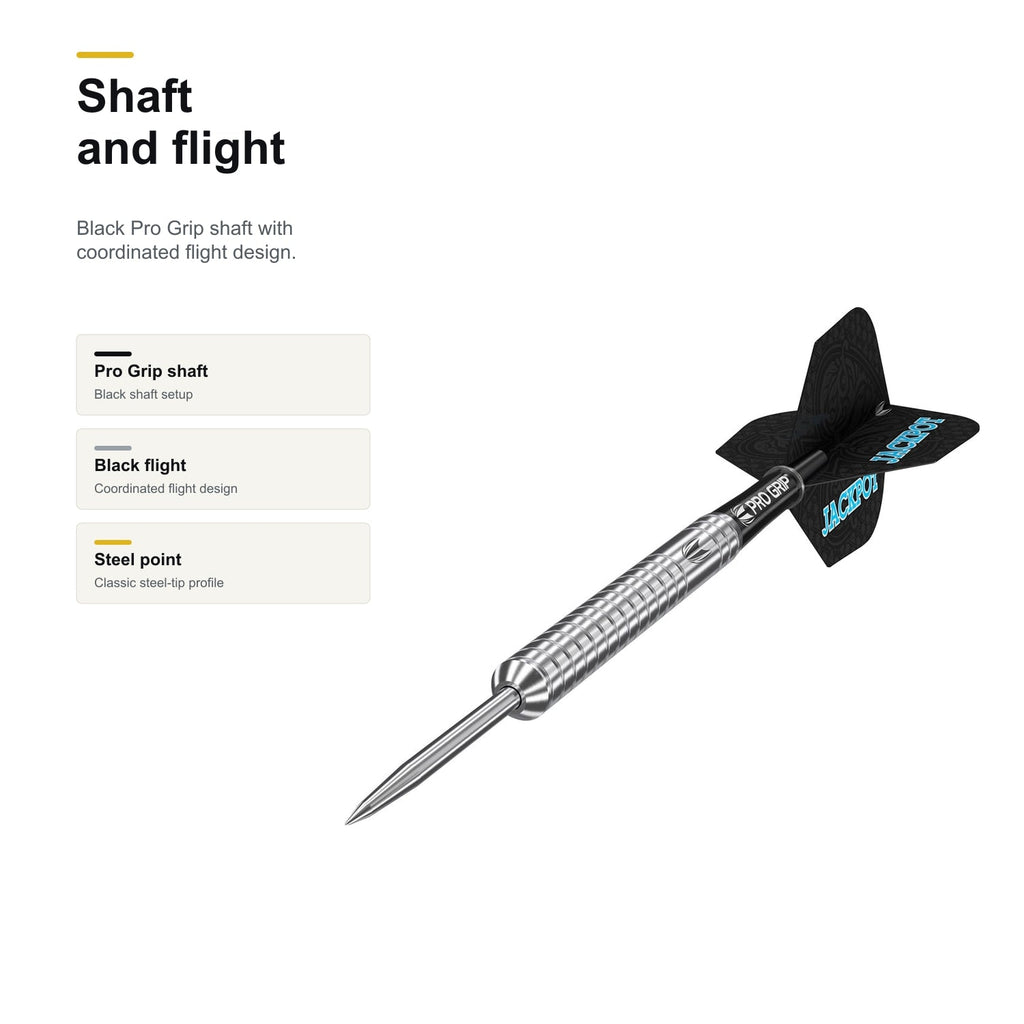 Target Adrian Lewis Gen 4 90% shaft and flight