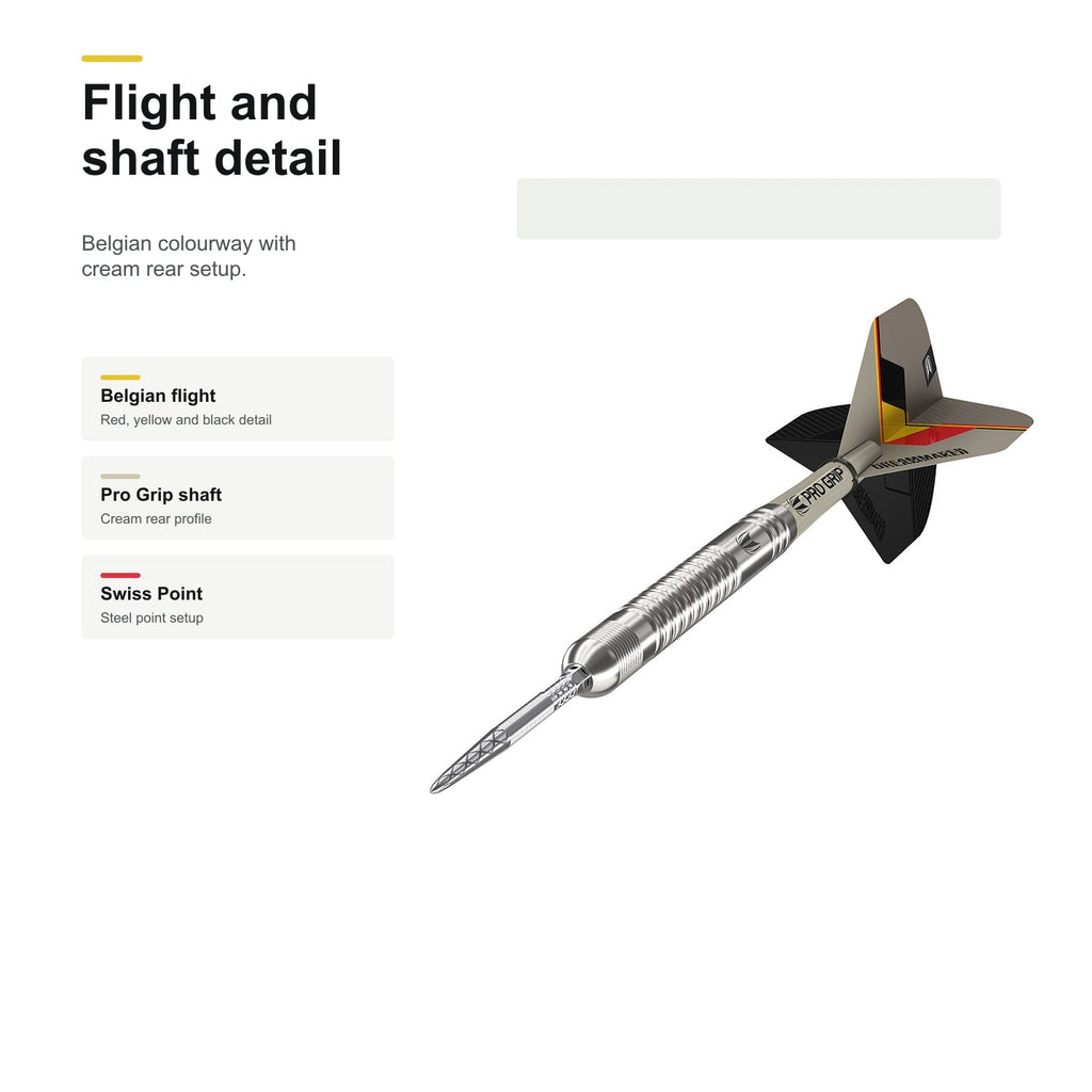 Target Dimitri Van den Bergh G2 90% Swiss darts - flight and shaft detail