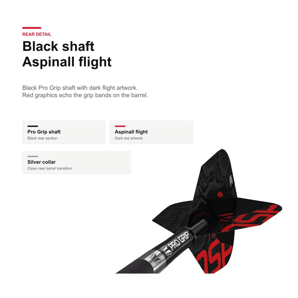 Target Nathan Aspinall Black 80% Swiss Pro Grip and flight detail