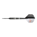 Target Raymond van Barneveld Echo 95% Swiss darts product image