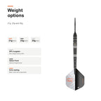 Target Raymond van Barneveld Echo 95% Swiss 21g 23g and 25g darts