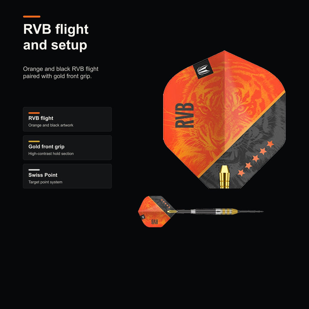 Target Raymond van Barneveld G4 RVB 95% Swiss flight and setup
