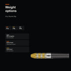 Target Raymond van Barneveld G4 RVB 95% Swiss weight options